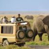 tours car rental