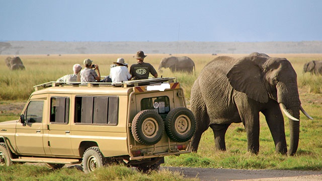 tours car rental