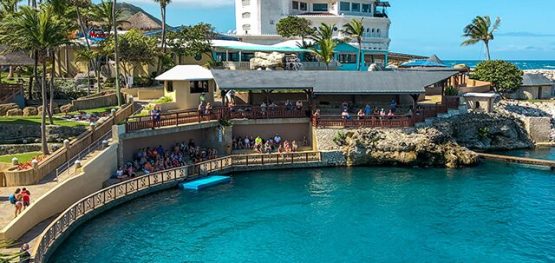 celebrity cruise shore excursions